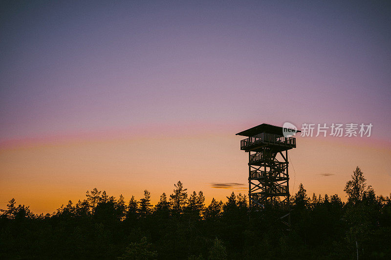 爱沙尼亚沼泽的风景