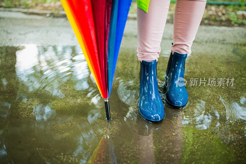 漂亮凉爽的女人带着五颜六色的雨伞在秋天的一天