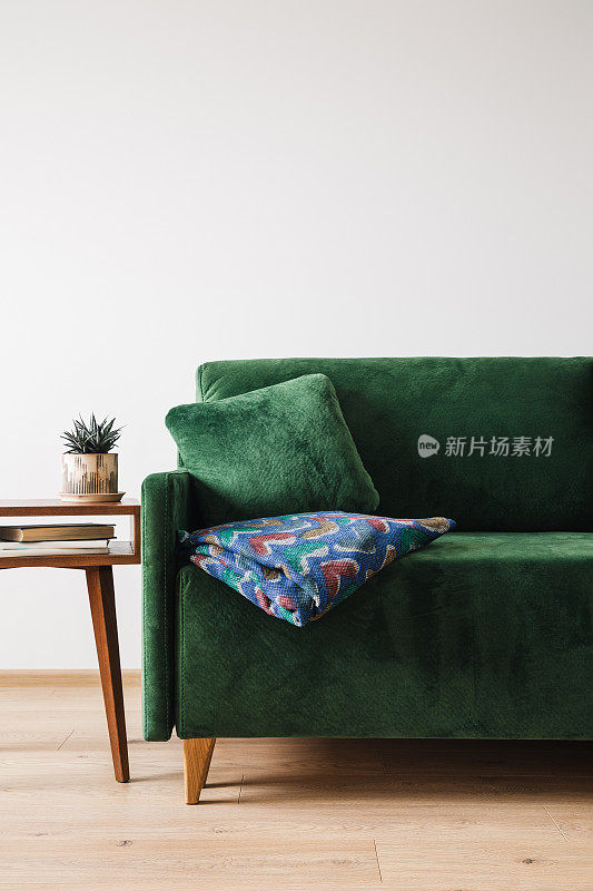 带毯子的绿色沙发靠近放着植物和书的木质咖啡桌