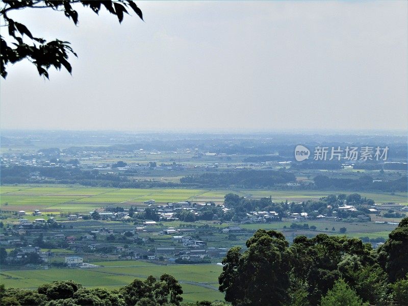 日本。8月。茨城县筑波高地的一个小山的全景。