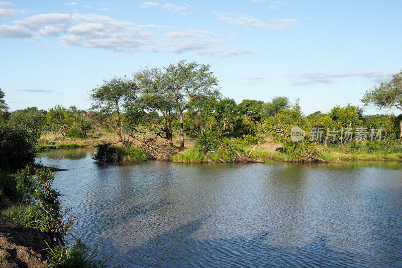 南非多刺灌木自然保护区，第二部分