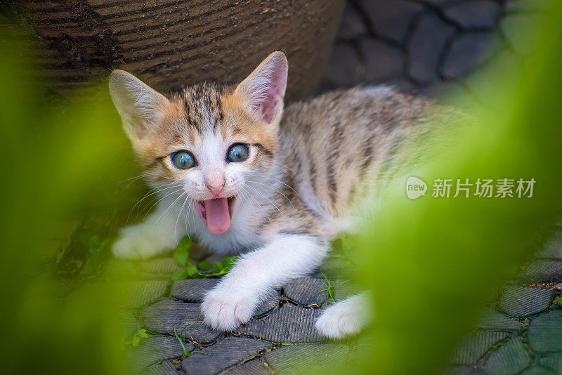 妈妈……有人未经允许拍了我的照片!