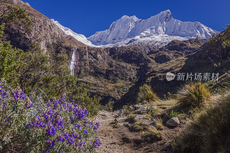 科迪勒拉布兰卡山谷与瀑布下的查卡拉贾，野花和徒步小径-安第斯，秘鲁