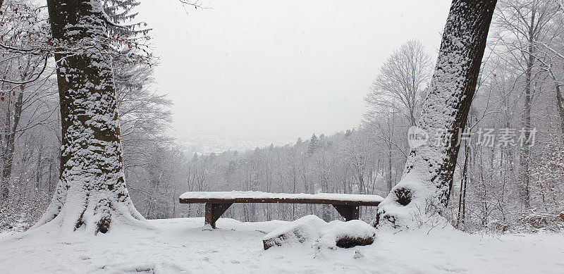 树干和长凳被雪覆盖