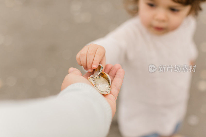 2021年1月一个寒冷的冬天，21个月大的小女孩在佛罗里达朱诺海滩的沙滩上收集贝壳