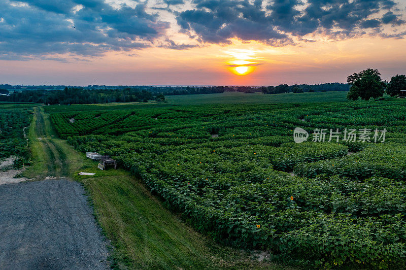 加拿大库克敦，夕阳下27号公路上的农场