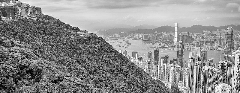 在一个阴天，从太平山俯瞰香港市中心的天际线。