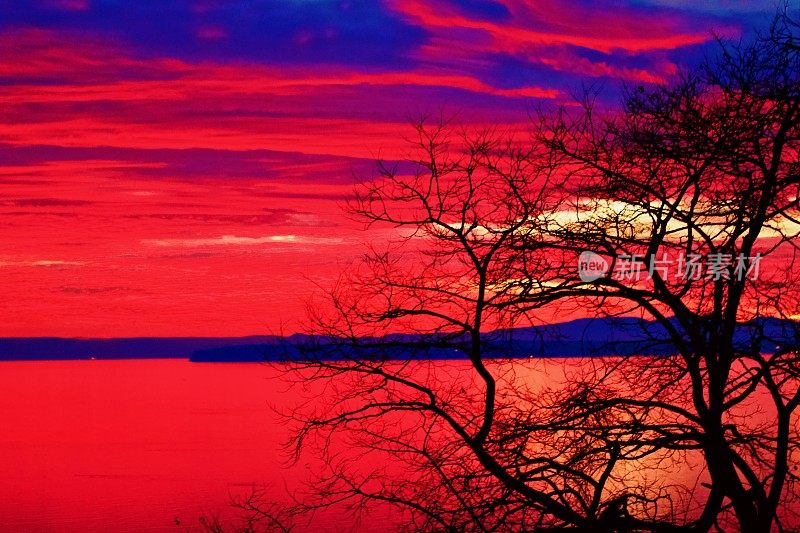 大自然中壮观的日落，抽象的活力，粉色，红色，大胆的彩色Pantones