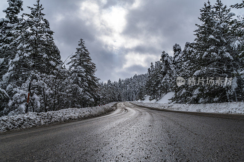 在白雪皑皑的森林中发现的蜿蜒的道路景观