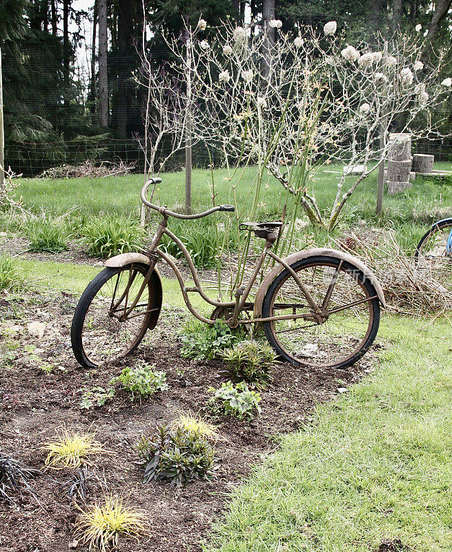 一辆旧自行车的花园艺术