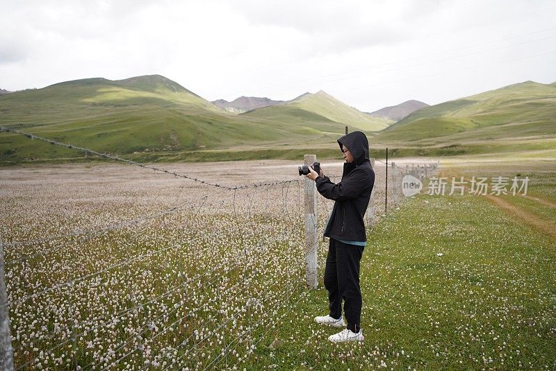 中国西藏美丽的花海