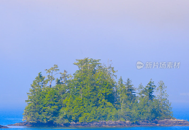 Tofino、加拿大