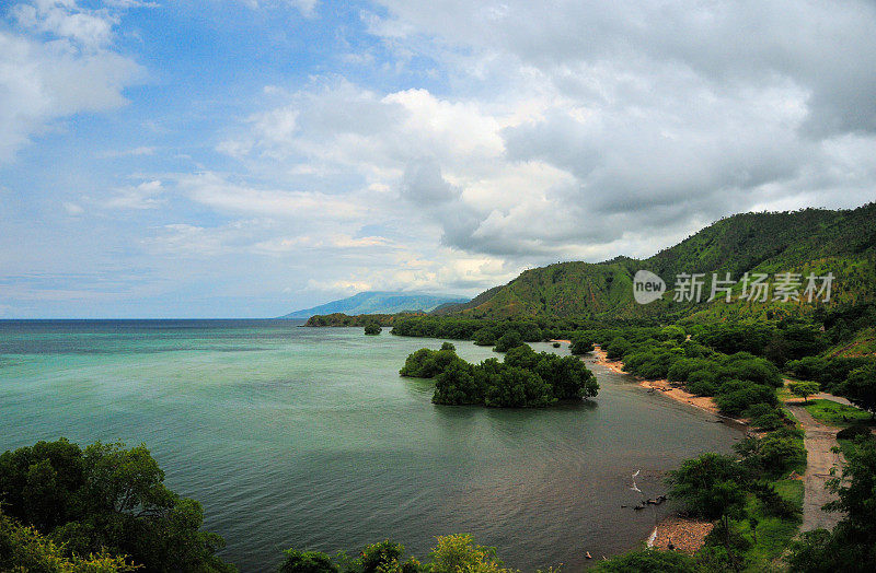 蓬塔法托马诺海岬-海滩和红树林，东帝汶