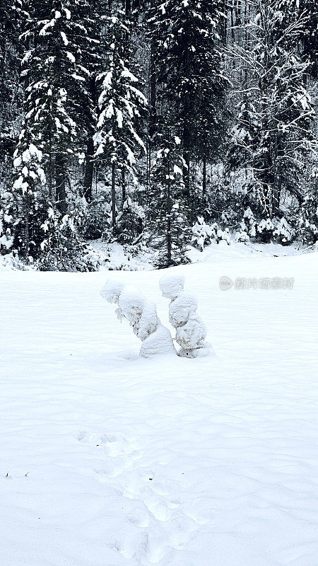 两个有趣的雪人慢慢地落在前面