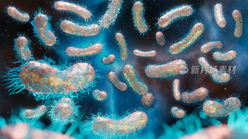 肠杆菌、阴性革兰氏菌、变形杆菌、沙门氏菌、大肠杆菌、鼠疫杆菌、克雷伯氏菌等细菌。三维渲染