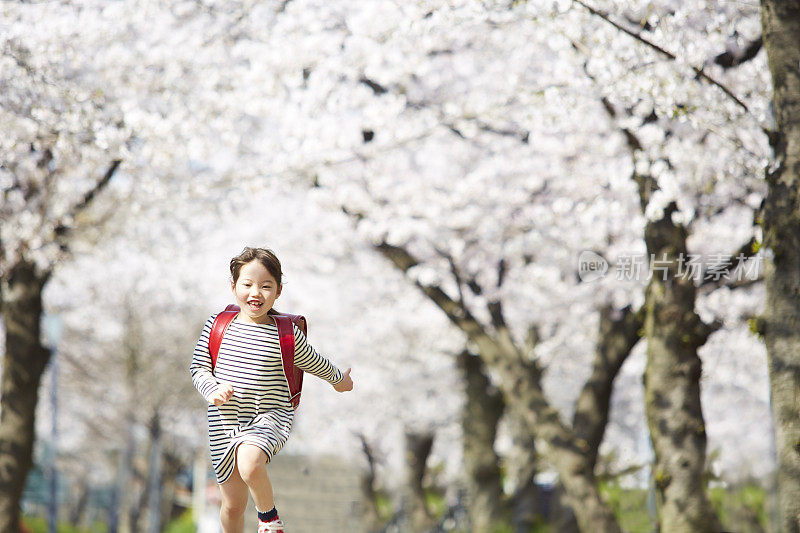小学女生沿着樱花盛开的道路奔跑