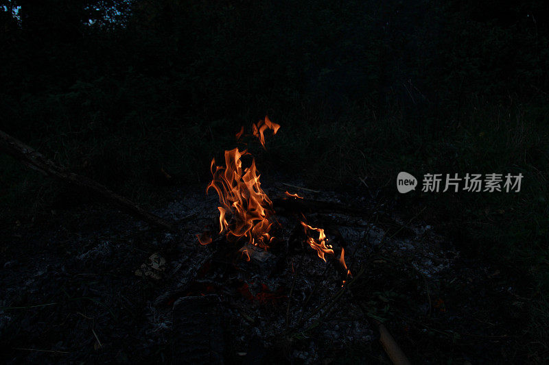 高角度拍摄森林中熊熊燃烧的大火