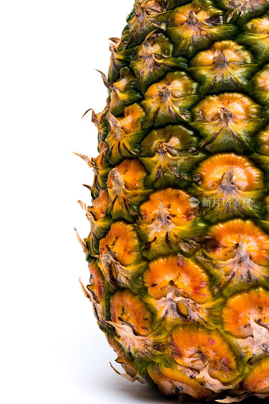 高关键照片成熟的菠萝专业设计元素
