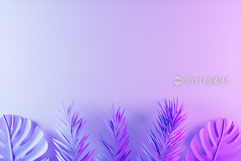 热带棕榈叶在粉红色和紫色的霓虹灯夏季背景