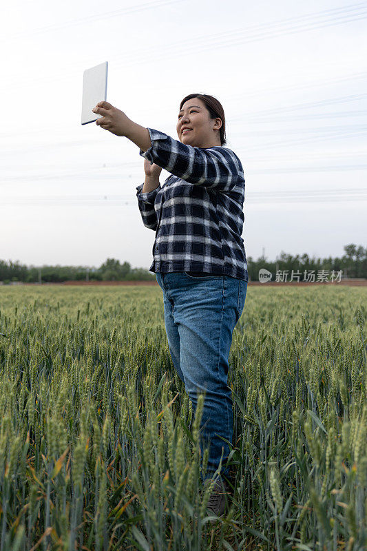 一位女农民手里拿着一块碑，站在一片广阔的绿色麦田里