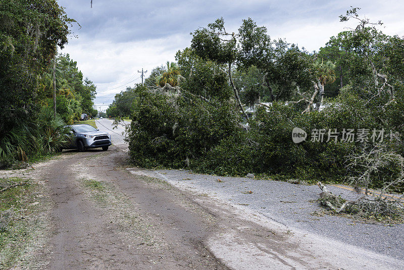 倒下的树和折断的电线堵塞了道路。飓风在佛罗里达州北部的斯坦哈奇登陆