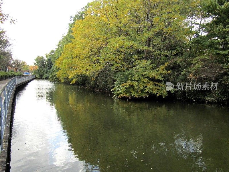 东京大学柏华校区的小池塘。