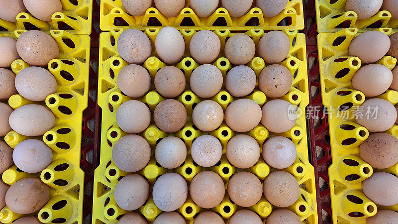 市面上出售的新鲜鸡蛋俯视图。