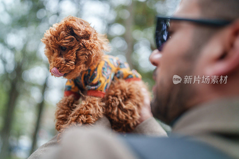 狗在舔它的鼻子。