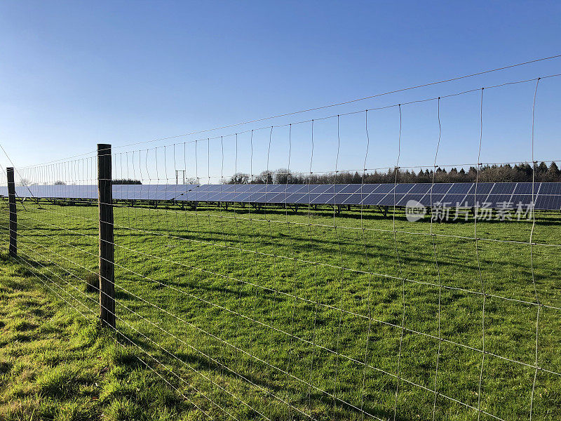 铁丝网围栏前的太阳能电池板在农田，环保能源，郁郁葱葱的绿草，清澈的蓝天