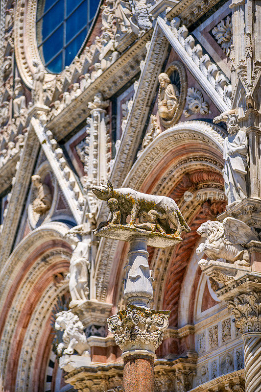 锡耶纳母狼雕像的柱子矗立在大教堂的正面