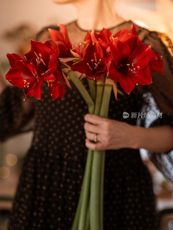 一个女人拿着孤挺花在她的圣诞花前