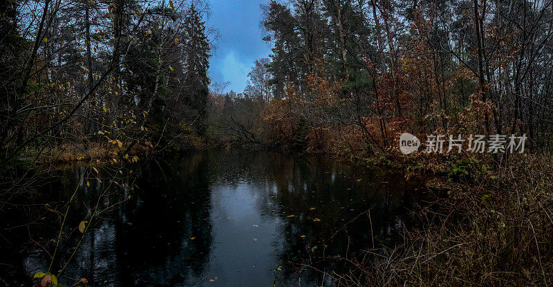 在潮湿的天气里，冬天傍晚森林中央的一个小湖。