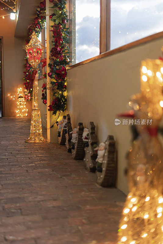圣诞节装饰的一个房子的客厅