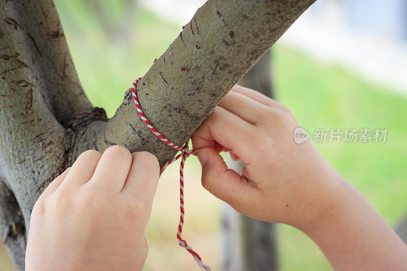 小女孩正在树枝上绑一个马绳子。