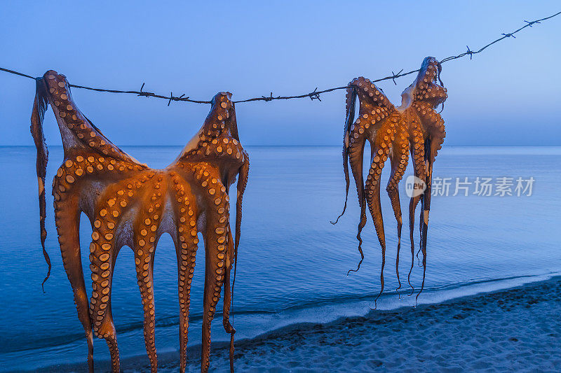 在欧洲希腊莱斯博斯岛的埃里索斯村，正在晾晒章鱼