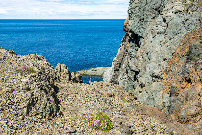 低头，保姆洞和睡眠湾小径，乌鸦头，Twillingate，加拿大