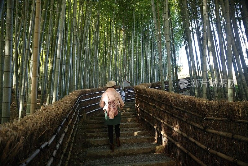 年轻女子走在竹林之间