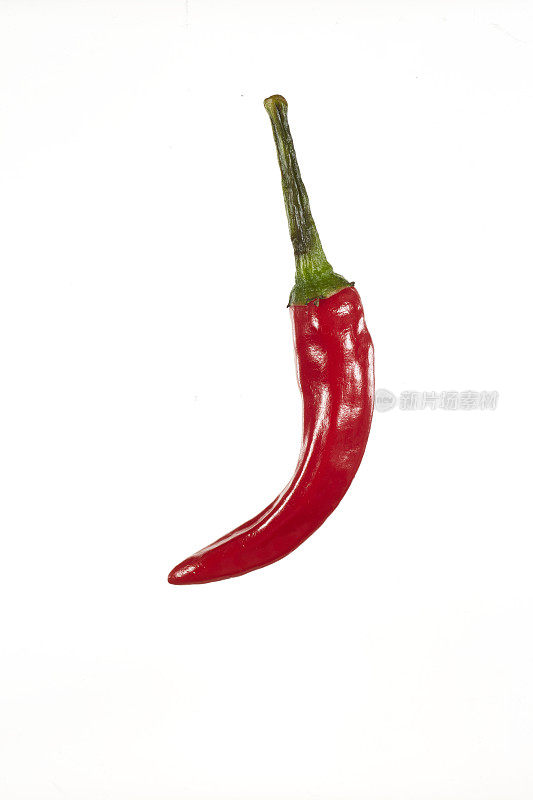 白色背景上的新鲜辣椒。红色的颜色。