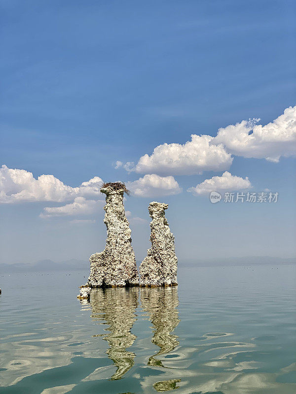 鱼鹰巢，莫诺湖