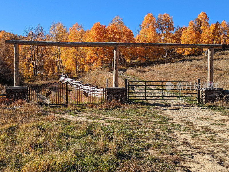 在犹他州锡安国家公园附近的Kolob水库上，深秋的金色白杨林中的高山牧场和牧场大门