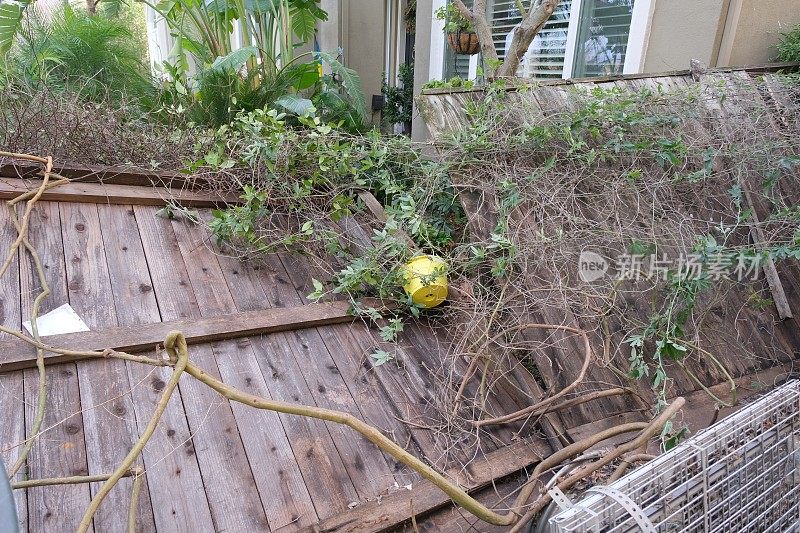 暴风雨后倒下的篱笆