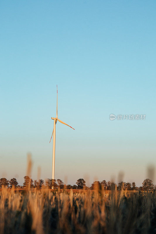 日落时分麦田里的大型风车