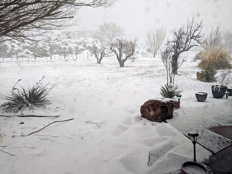 犹他州洛克维尔岩石花园的下雪天