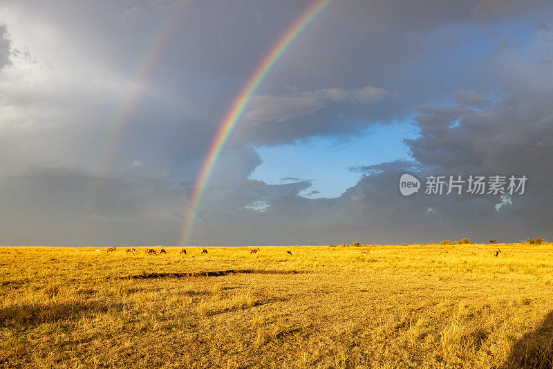 在国家公园，美丽的彩虹映衬着多云的天空