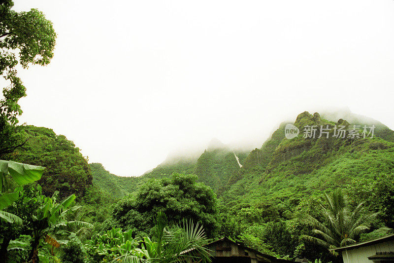 多雾的夏威夷山