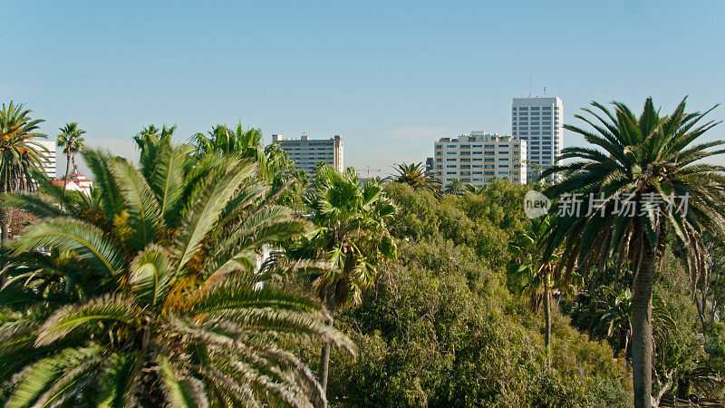 航拍的棕榈树与公寓在圣莫尼卡，加利福尼亚