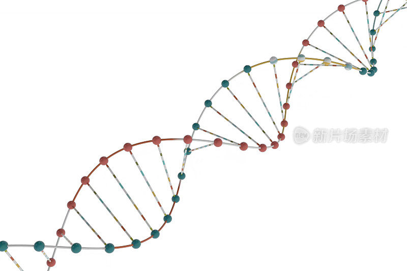 DNA与生物技术概念