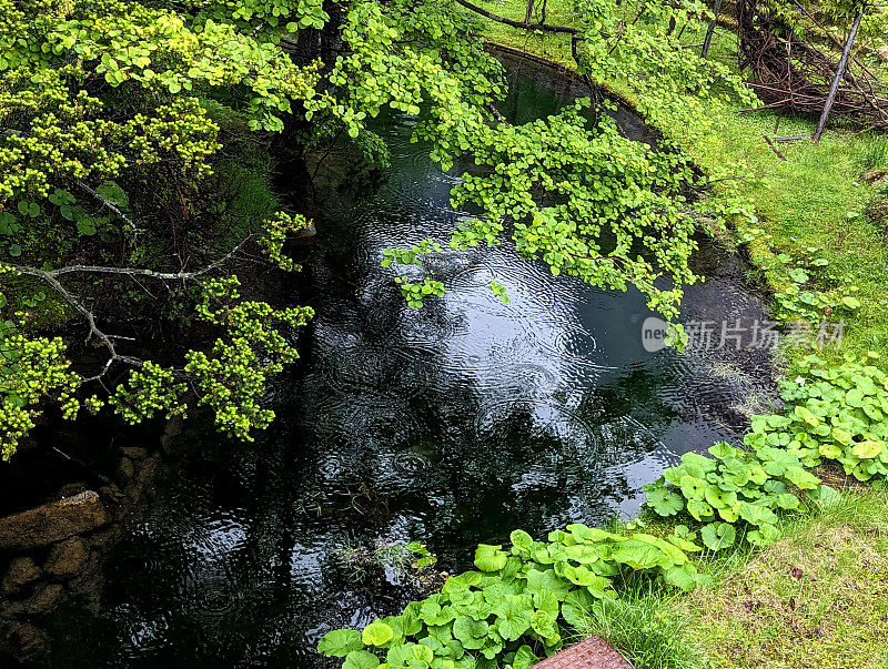 日本，草里孙别河上的雨滴