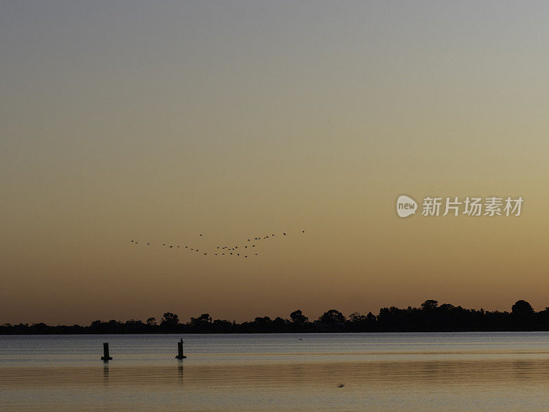 日落时的鸟和湖