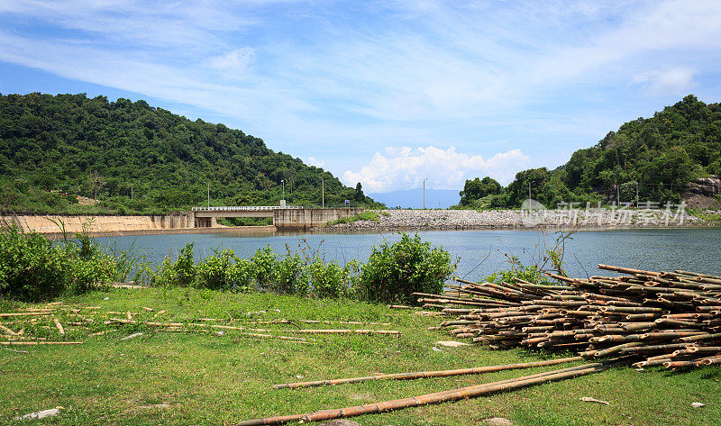 河岸有竹林群，风景优美